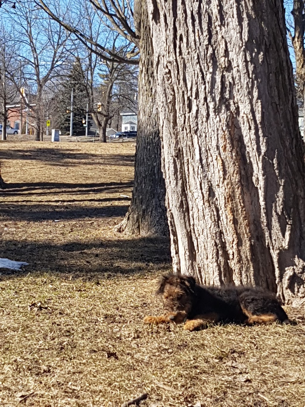 Victoria Park | 75 Coldwater Rd W, Orillia, ON L3V 3L3, Canada