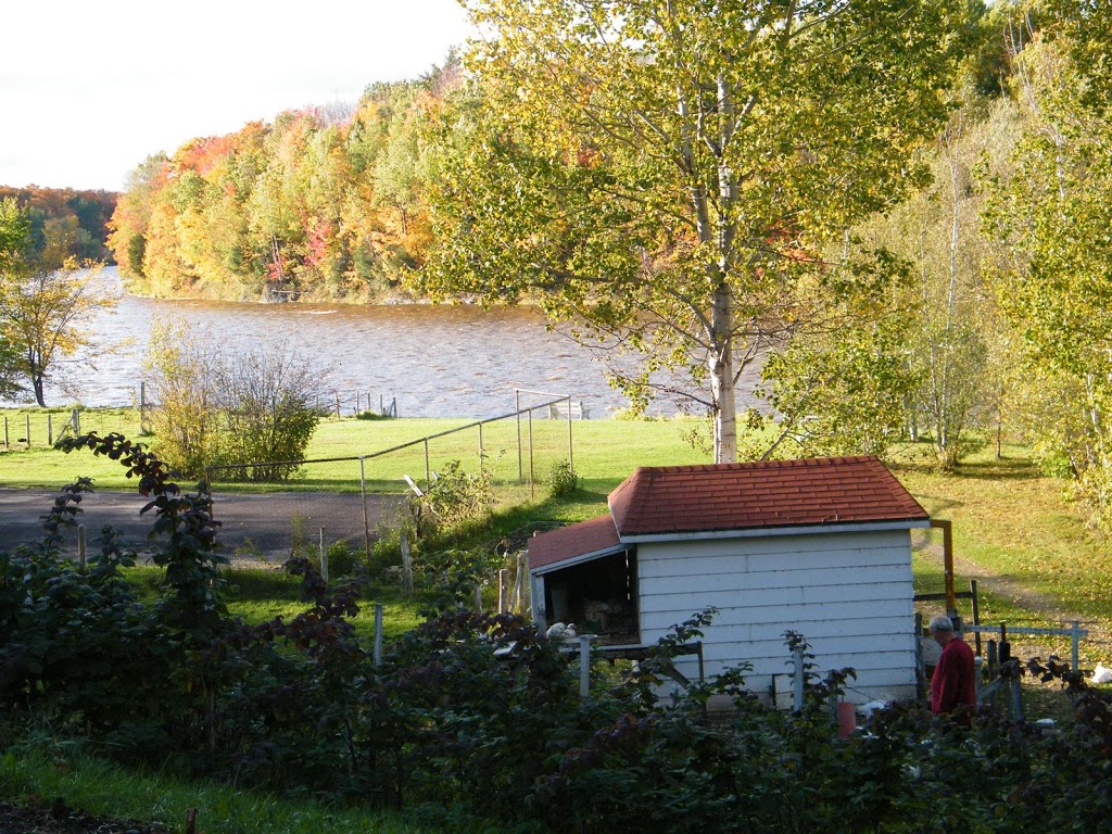 Centre marianiste deducation de la Foi | 1525 Chemin du Bord-de-lEau, Saint-Henri, QC G0R 3E0, Canada | Phone: (418) 882-0002