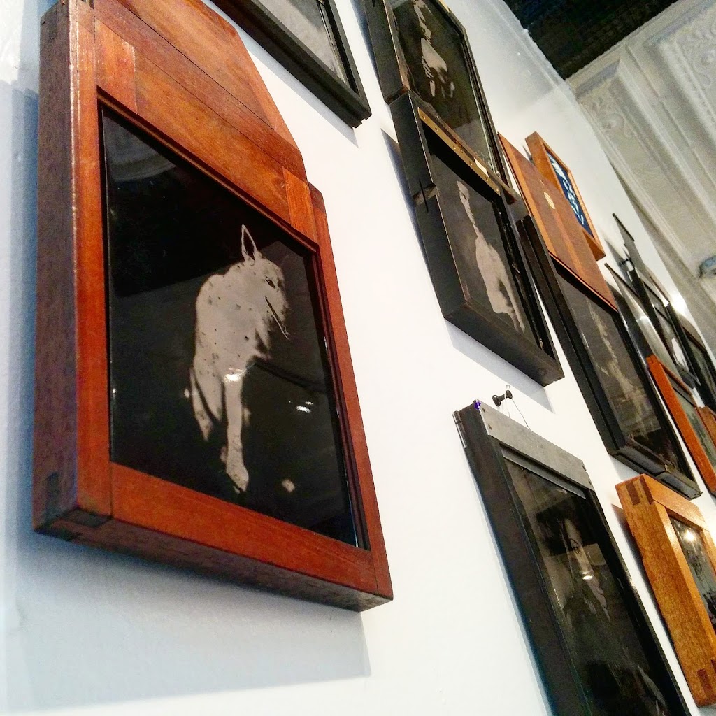 Le Studio Argentique | 355 Rue Rachel E, Montréal, QC H2W 1E8, Canada | Phone: (514) 597-0202