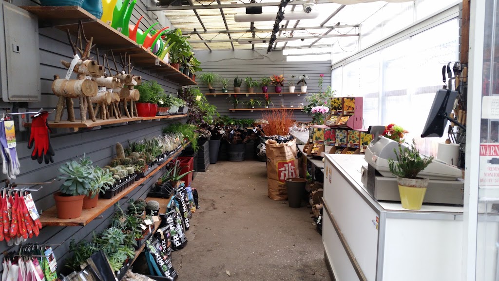 Davenport Garden Centre | 368 Davenport Rd, Toronto, ON M5R 1K6, Canada | Phone: (416) 929-7222