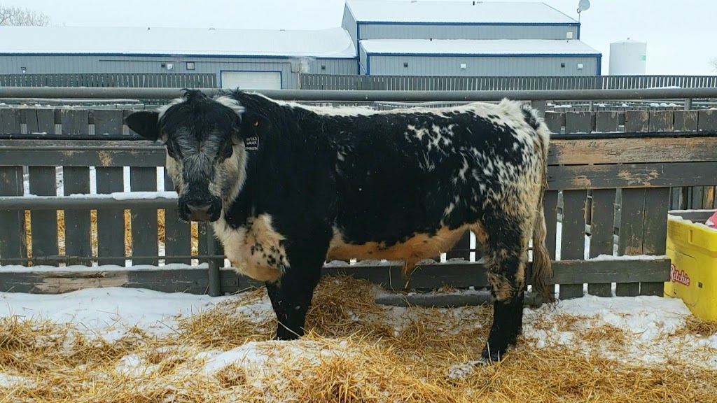 Bow Valley Genetics Ltd. | 170037 SH 550, Rosemary, AB T0J 2W0, Canada | Phone: (587) 887-1934