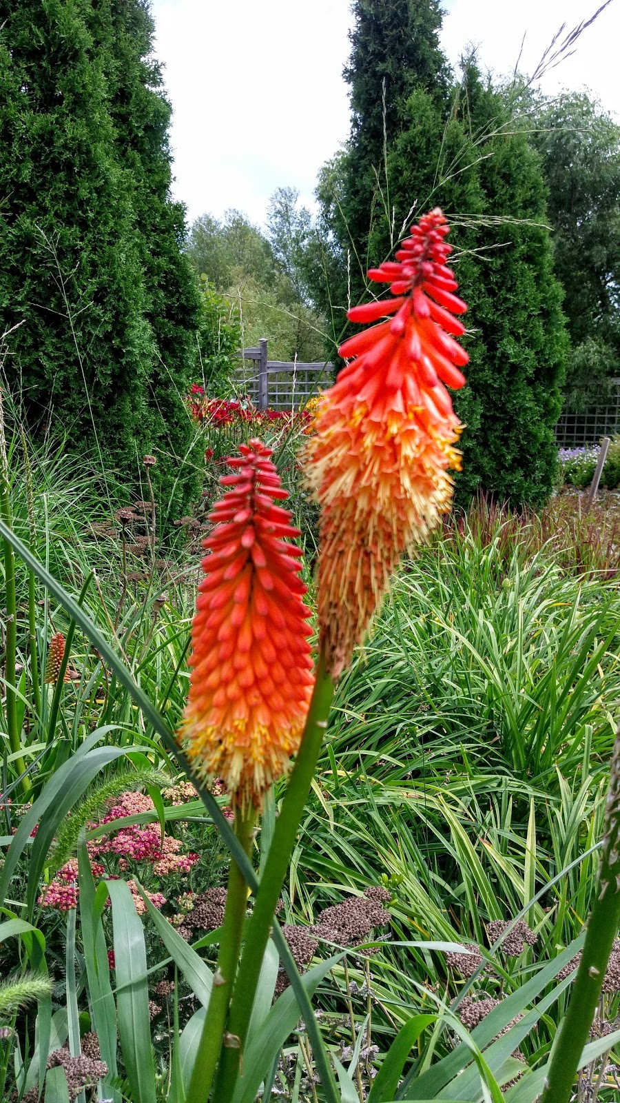 MacEwan Terrace Garden | 4150 Riverwood Park Ln, Mississauga, ON L5C 2S7, Canada | Phone: (905) 279-5878