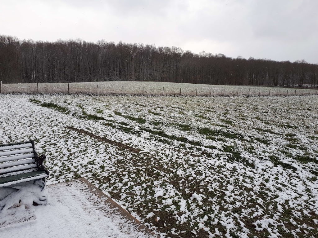 Treefall Bee Yards | 112326 Grey Road 3, Neustadt, ON N0G 2M0, Canada | Phone: (647) 390-2053