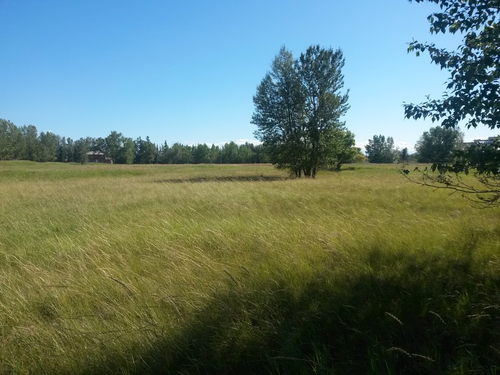 Inglewood Bird Sanctuary & Nature Centre | 2425 9 Ave SE, Calgary, AB T2G 4T4, Canada | Phone: (403) 268-2489