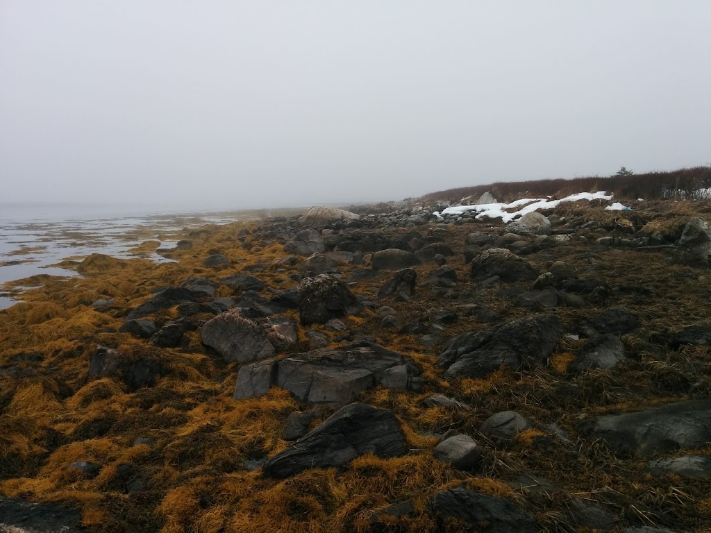 New Testament Baptist Church | 42 Church Hill, Clarks Harbour, NS B0W 1P0, Canada | Phone: (902) 745-0140