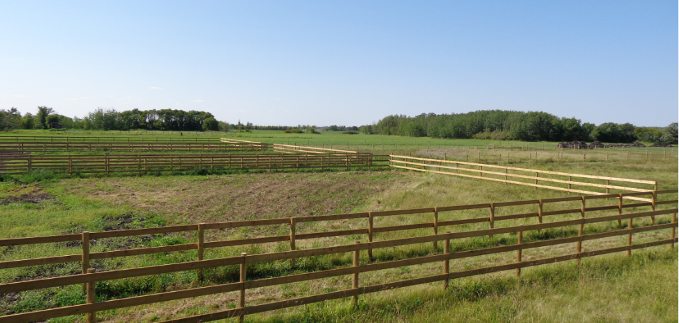 NorthernGates Stables | 29065 Melrose Road, Springfield, MB, Box 6 Group 19 RR2, Dugald, MB R0E 0K0, Canada | Phone: (204) 444-5416