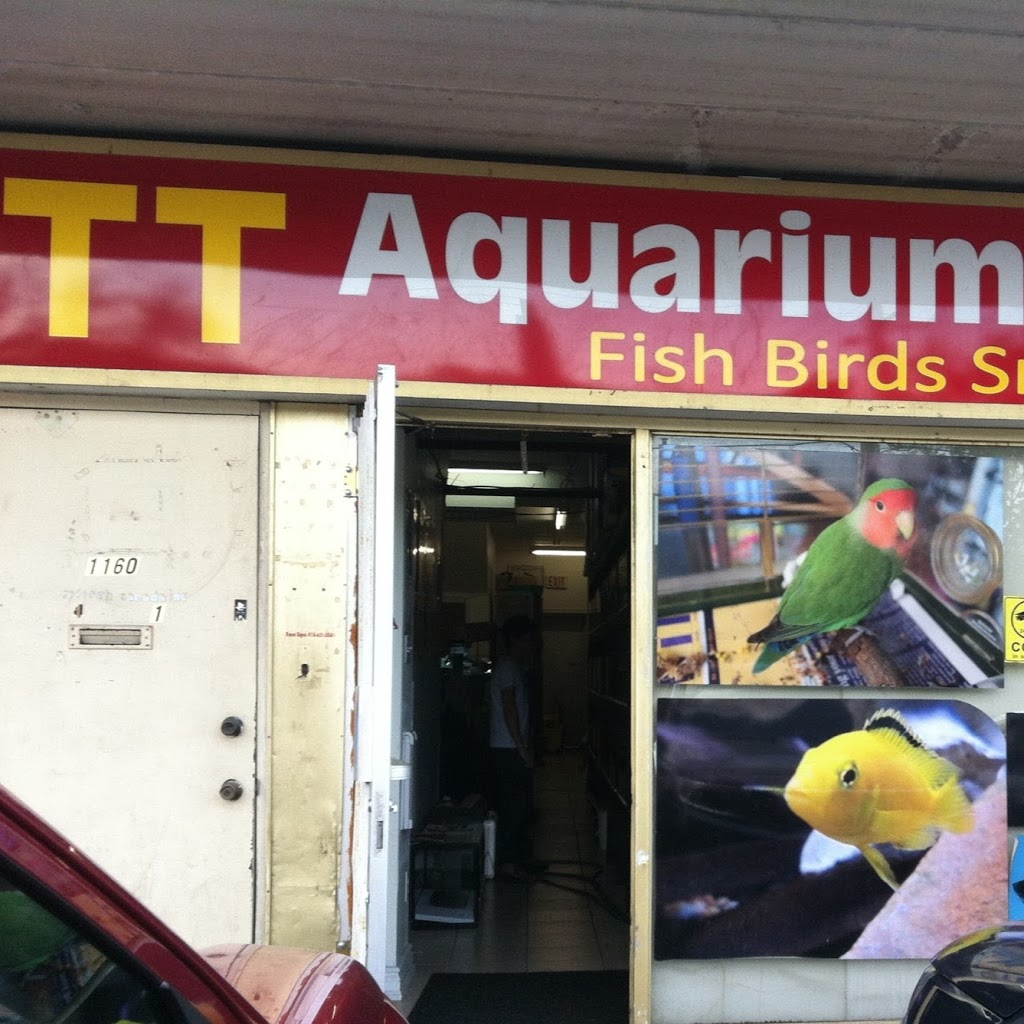 T T Aquarium&Pets | 1160 Albion Rd, Etobicoke, ON M9V 1A8, Canada | Phone: (647) 349-3732