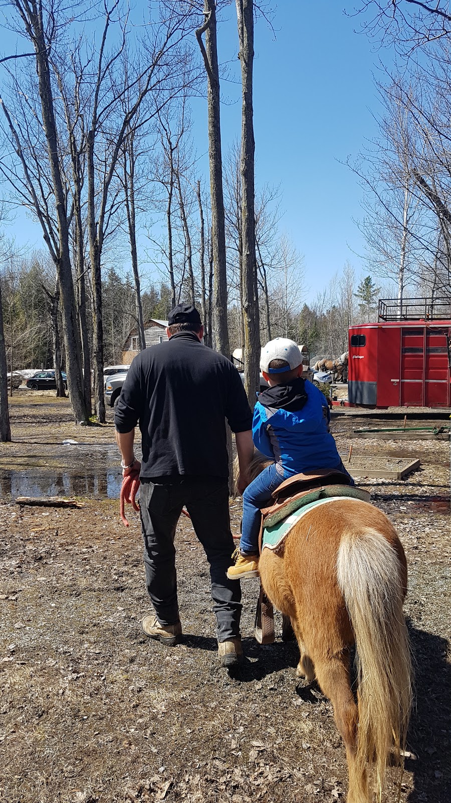 Aux délices des saisons | 875 Rang du Brûlé, Saint-Roch-de-Richelieu, QC J0L 2M0, Canada | Phone: (450) 587-2465