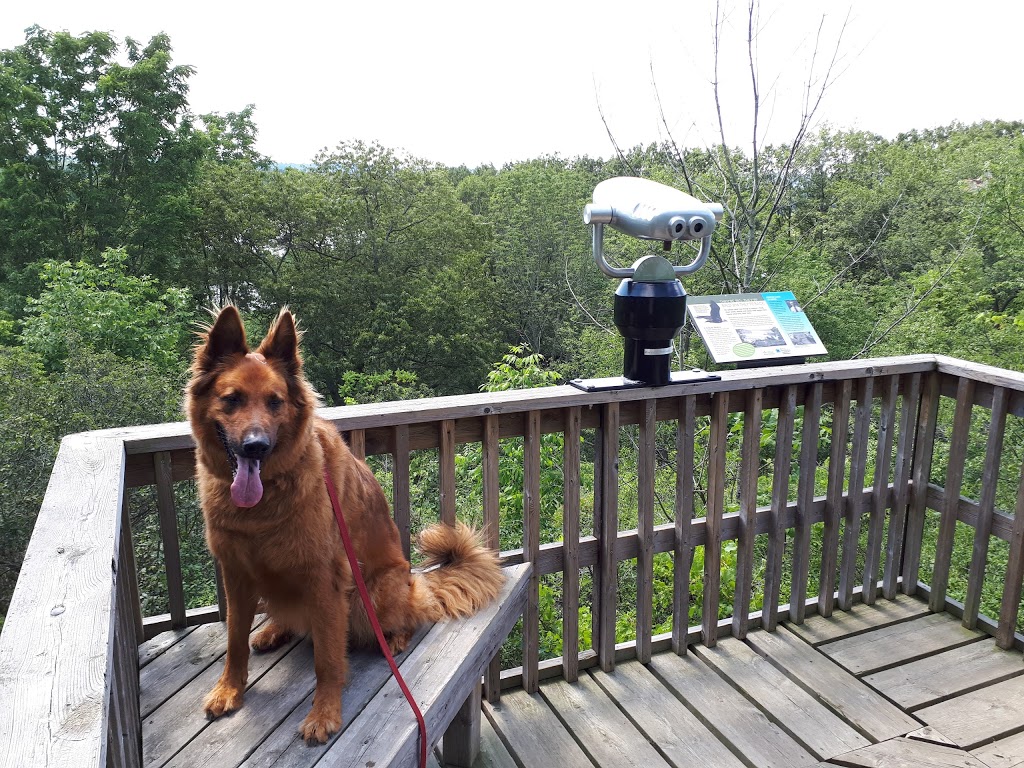George North Lookout | George North Lookout Trail, Hamilton, ON L9H 5M5, Canada
