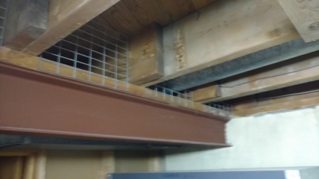 Action Pest Control Services | 263 W 2nd St, Hamilton, ON L9C 3G6, Canada | Phone: (905) 318-1242