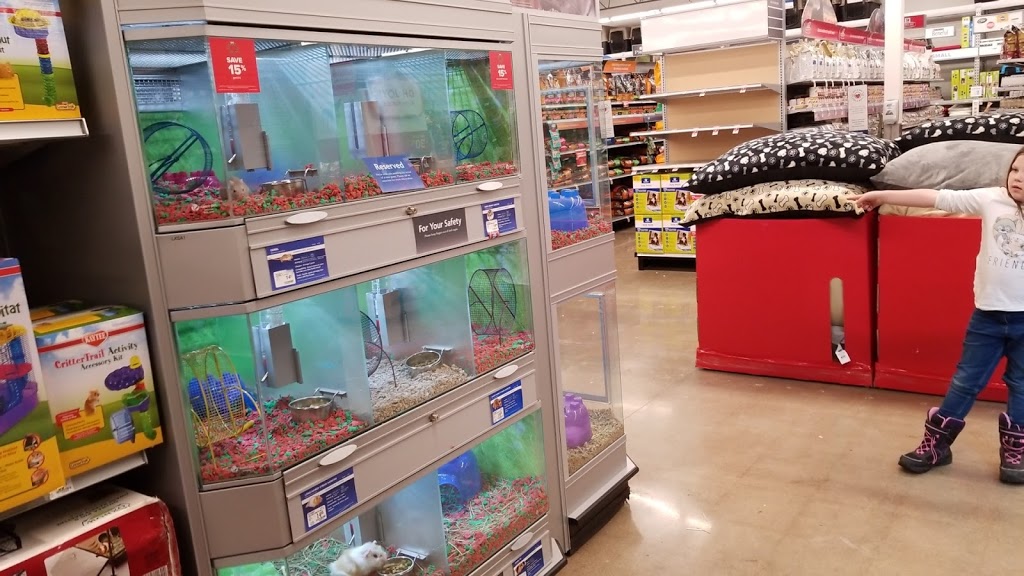 PetSmart | 544 Bayfield St, Barrie, ON L4M 5A2, Canada | Phone: (705) 739-1270