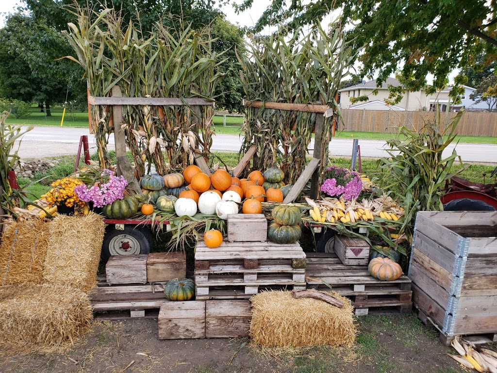 Maillouxs Farm Fresh | 500 Alma St, Amherstburg, ON N9V 2Y9, Canada | Phone: (519) 819-6192