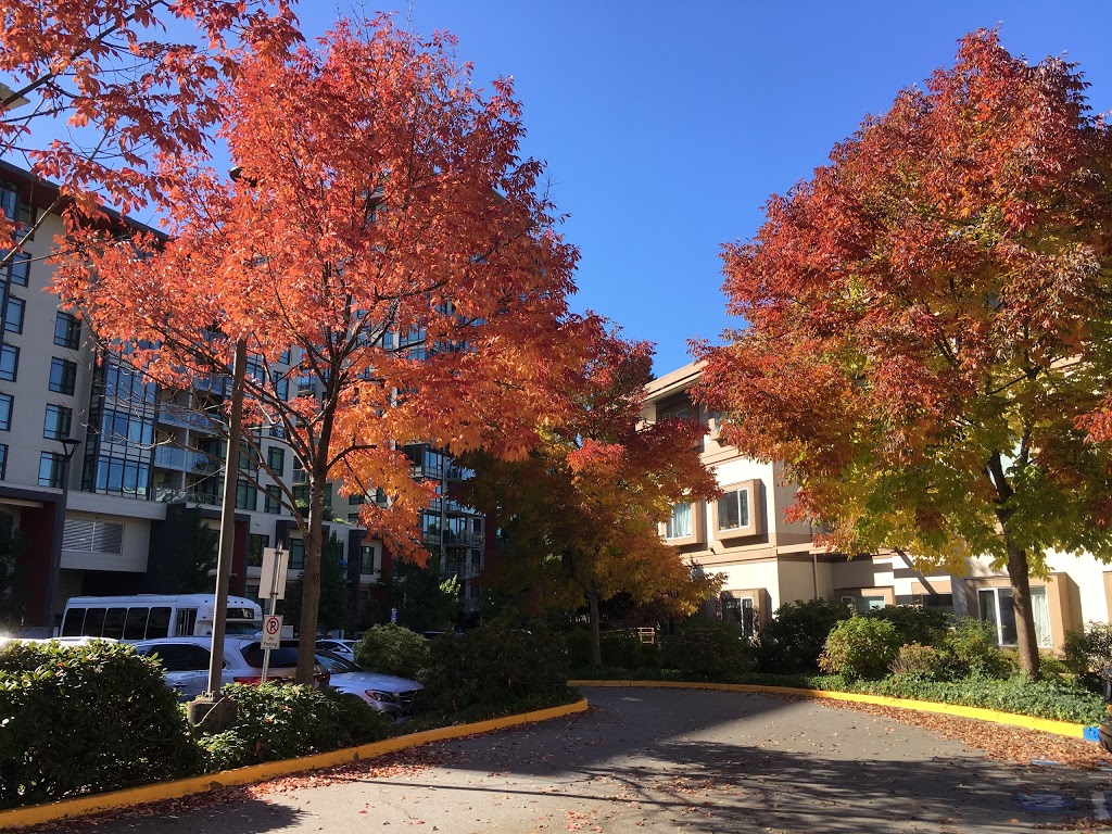 Minoru Residence | 7333 Gollner Ave, Richmond, BC V6Y 1Y4, Canada | Phone: (604) 244-5300