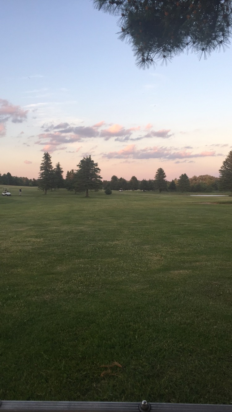 Willow Tree Golf & Country Clb | 232 W Galbraith Line Rd, Melvin, MI 48454, USA | Phone: (810) 387-4001