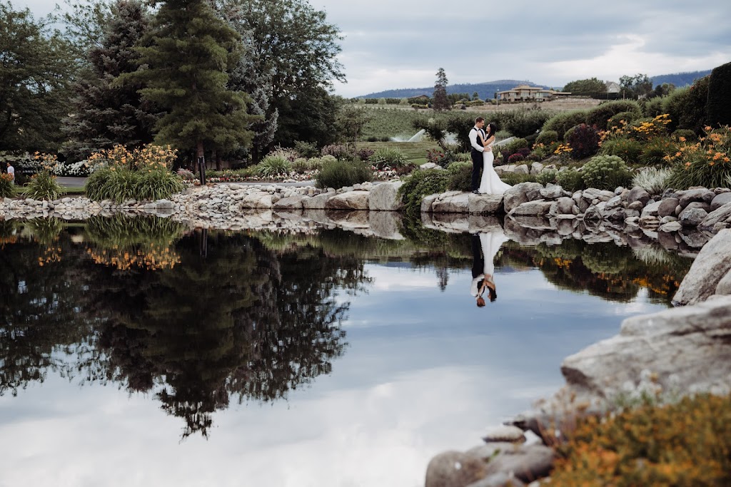Tara Hill Studios | 1189 McDonald Ave, Fernie, BC V0B 1M1, Canada | Phone: (250) 490-7325