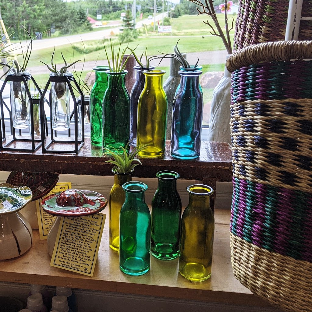 Moonsnail Mercantile | 3421 Brackley Point Rd, Brackley Beach, PE C1E 2N9, Canada | Phone: (902) 672-7627