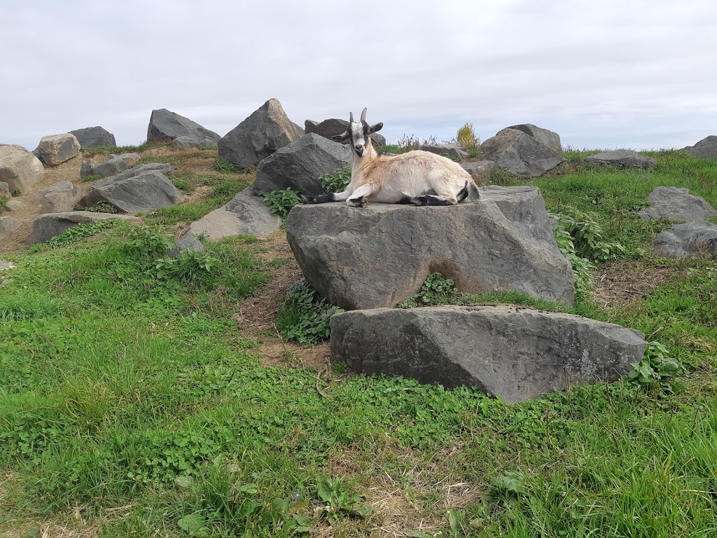Rabouillere | 1073 Rang de lÉgypte, Saint-Valérien-de-Milton, QC J0H 2B0, Canada | Phone: (450) 793-4998