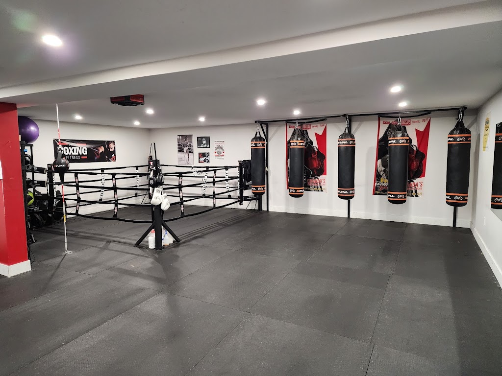 PEI Martial Arts Academy | 41 Hollis Ave, Stratford, PE C1B 2W2, Canada | Phone: (902) 213-7913