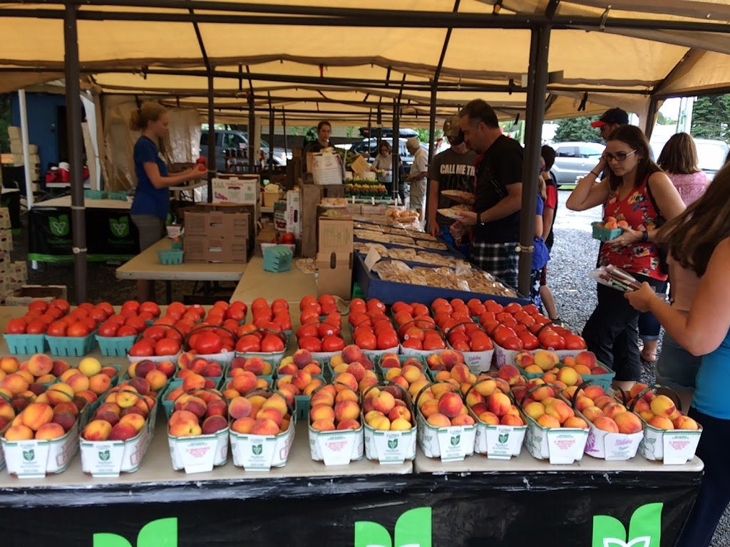 Hewitt Fresh - Grocery Home Delivery | 3331 Town Line, Coldwater, ON L0K 1E0, Canada | Phone: (705) 305-9464