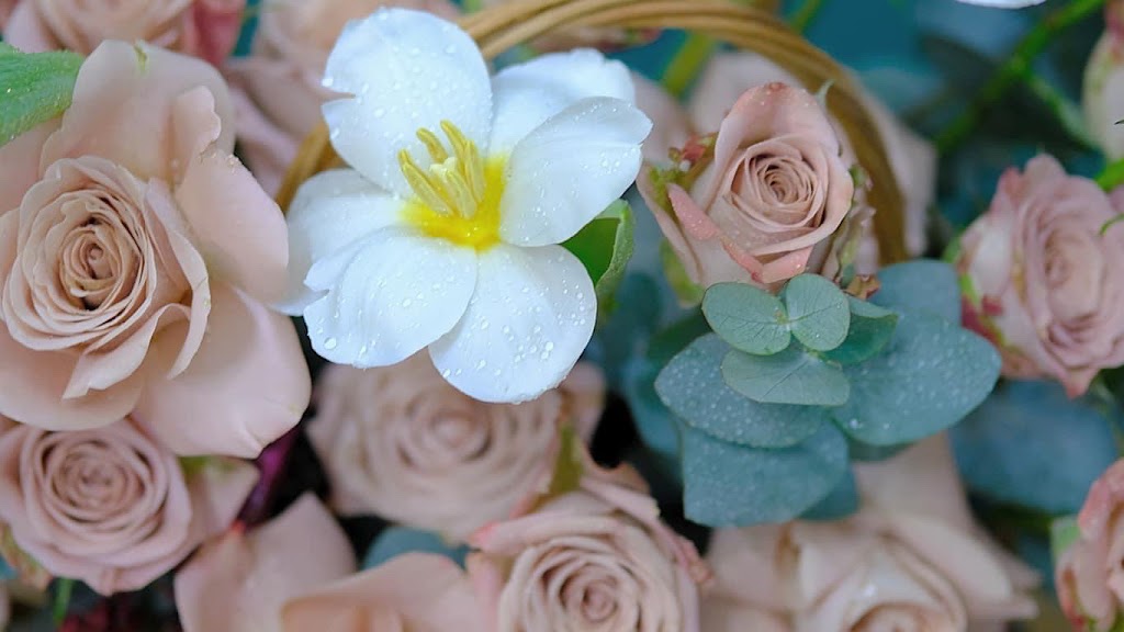 Lala Florist and Gifts | 120 Dallimore Cir #205, North York, ON M3C 4J1, Canada | Phone: (647) 572-6585
