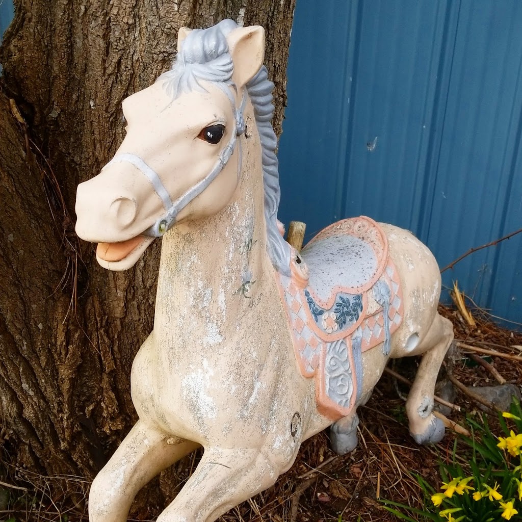 The Prancing Pony Community Thrift Shop | 1014 Venture Way, Gibsons, BC V0N 1V7, Canada