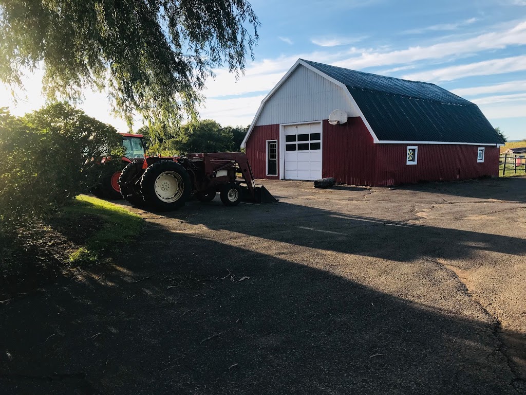 Willowbank U-Pick Farm | Starrs, 110 Starrs Point Loop, Port Williams, NS B0P 1T0, Canada | Phone: (902) 542-9153