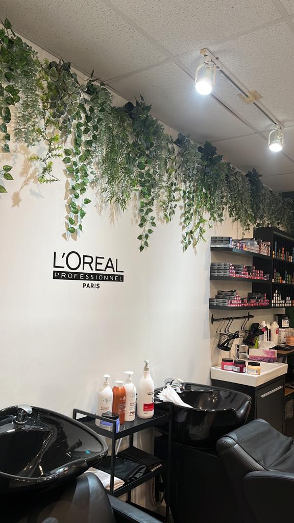 Monse International | 47 Ave Donegani, Pointe-Claire, QC H9R 2V8, Canada | Phone: (514) 694-8089