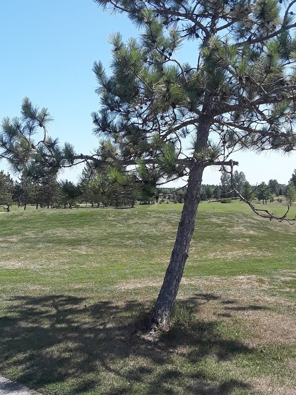 Mountain Creek Golf Course | Mountain View Rd, Arnprior, ON K7S 3G9, Canada | Phone: (613) 623-8919