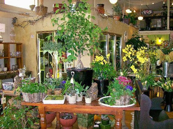Belle Flora | 2408 Yew St, Bellingham, WA 98229, USA | Phone: (360) 734-8454