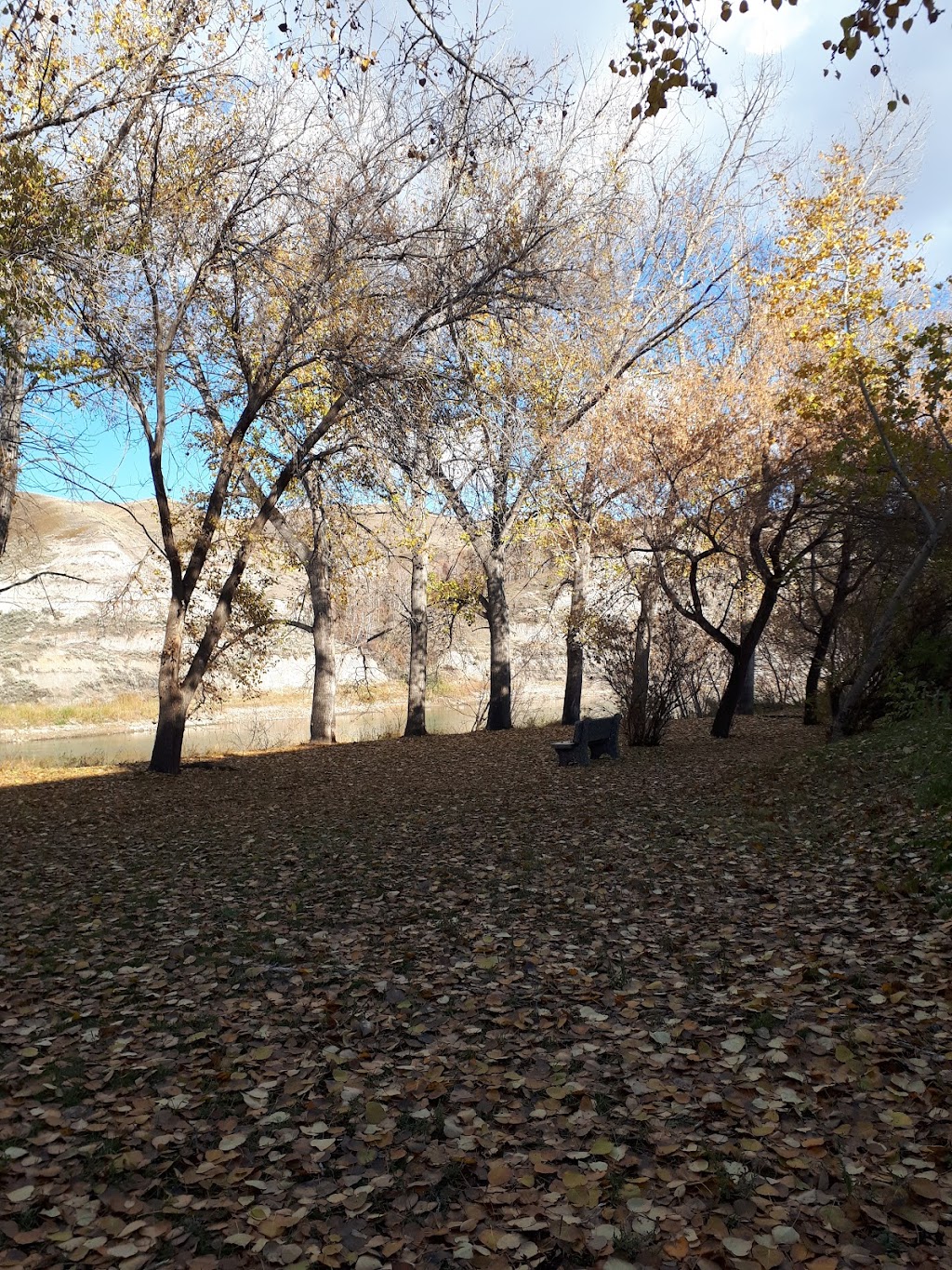 Badlands Community Facility | 80 Veterans Way, Drumheller, AB T0J 0Y2, Canada | Phone: (403) 823-1370