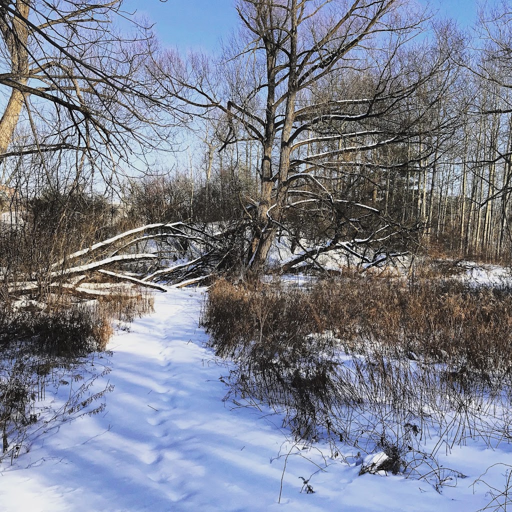 Saigeon Trail | Richmond Hill, ON L4E 4C2, Canada | Phone: (905) 771-8830