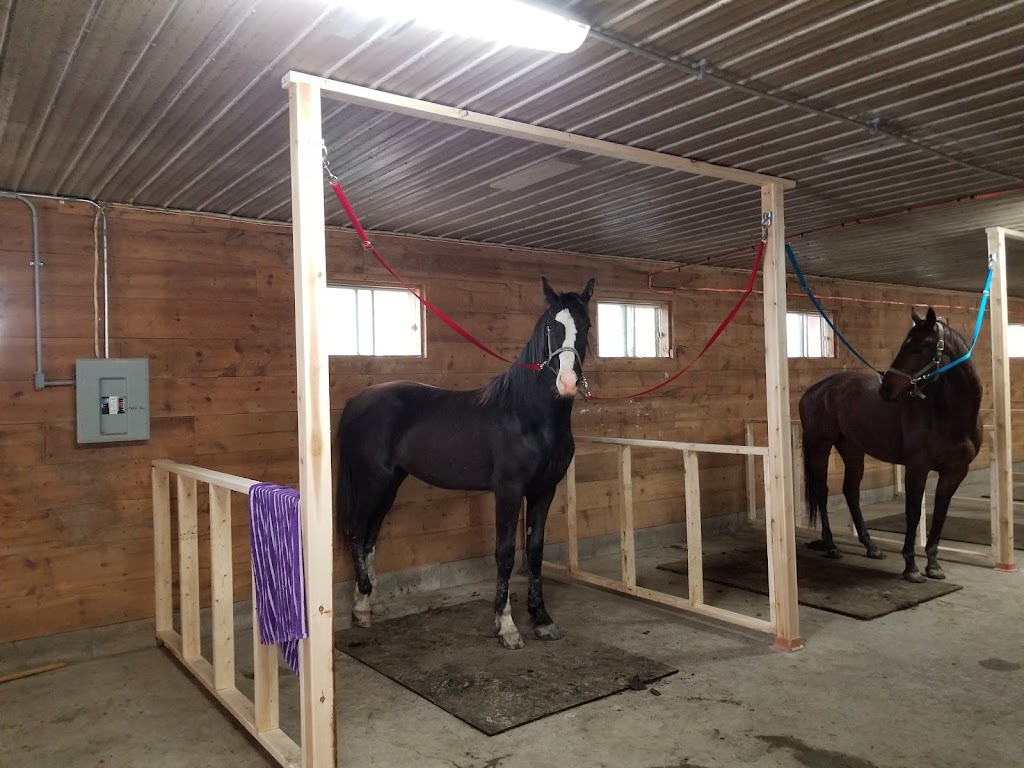 The Army Horse Academy | 612 Smith Rd, Navan, ON K4B 1H8, Canada | Phone: (613) 807-7168