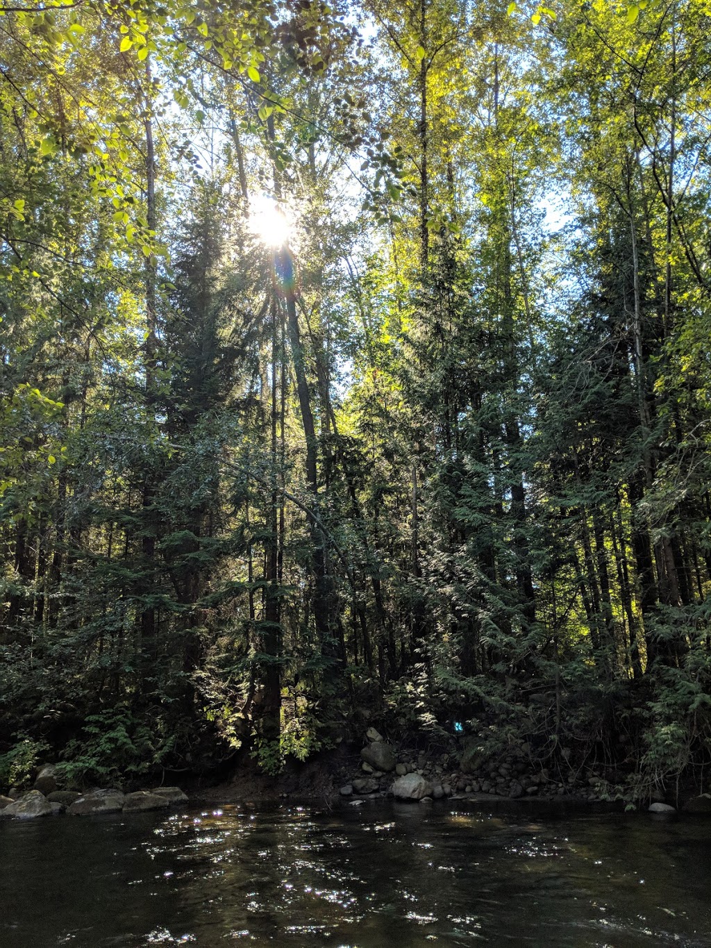 Coquitlam River Park | 1190 Shaughnessy St, Coquitlam, BC V3E, Canada