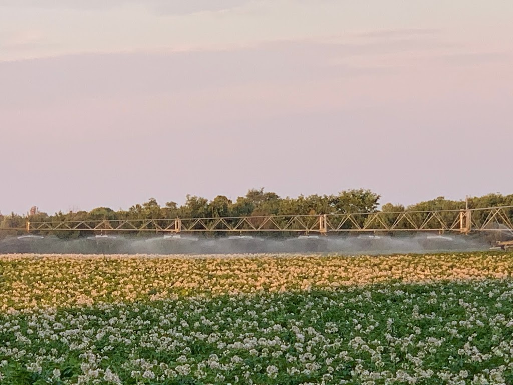 Gwillimdale Farms Ltd | 2026 11th Line, Bradford, ON L3Z 2B7, Canada | Phone: (905) 775-2889