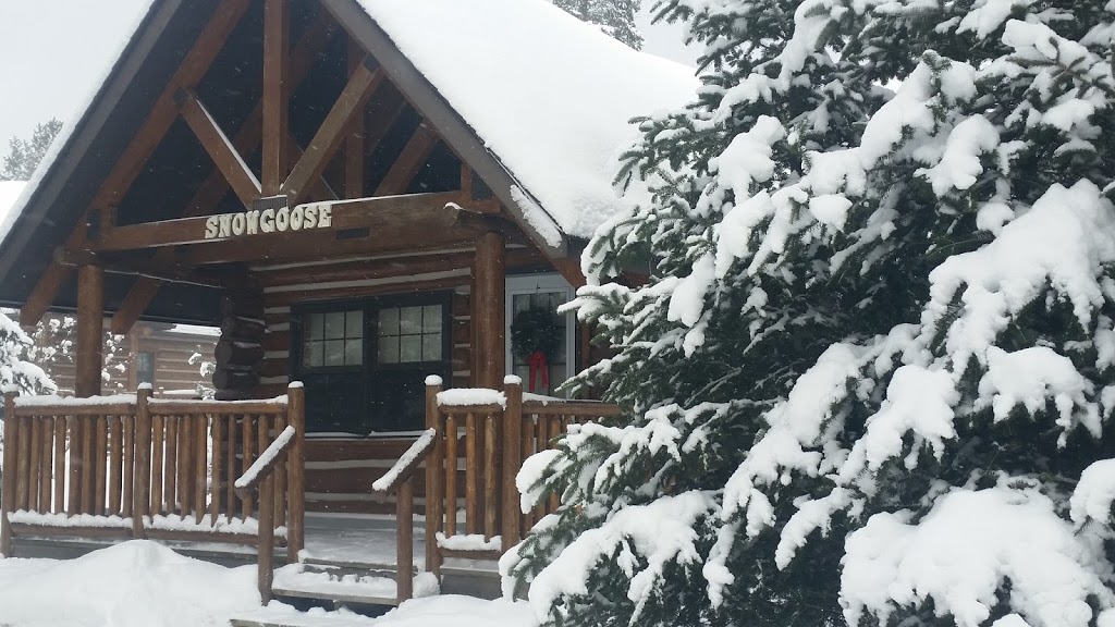 Cedar Grove Lodge | Peninsula Lake, 167 Grassmere Resort Rd Box 5104, Huntsville, ON P1H 2K5, Canada | Phone: (705) 789-4036