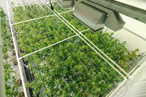 R J Chemicals | 360 Waterloo Ave, Guelph, ON N1H 8K7, Canada | Phone: (905) 320-6865
