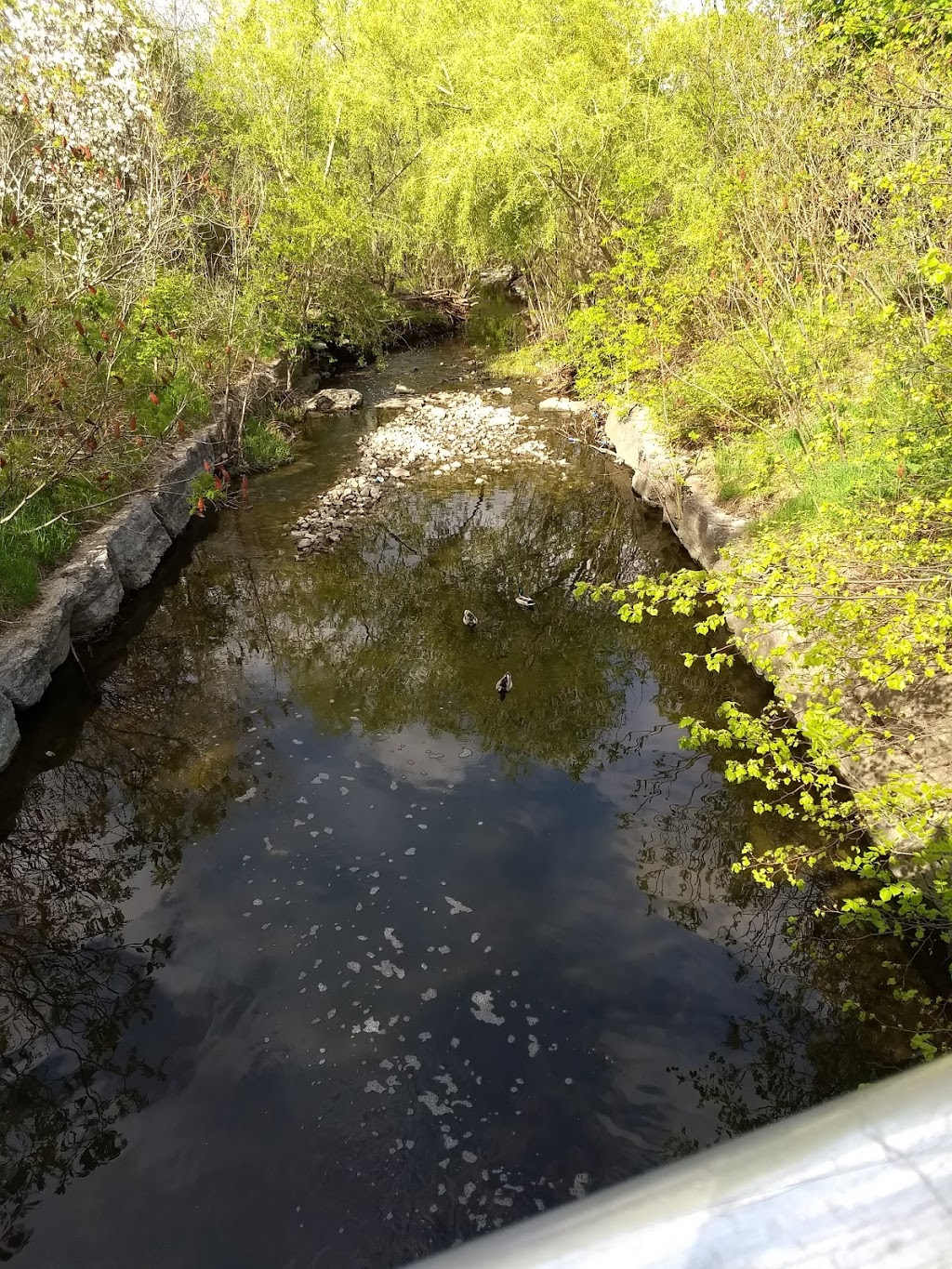 Thornlodge Park | 2405 Homelands Dr, Mississauga, ON L5K 1H3, Canada | Phone: (905) 615-4311