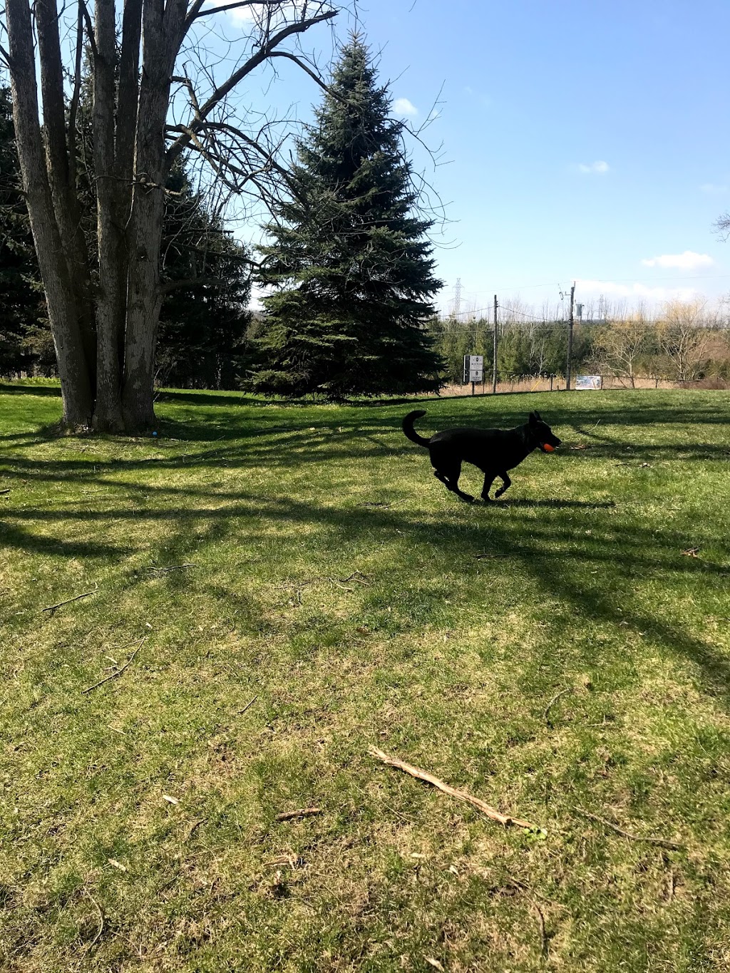 Rosewood Pet Resort | 15 Reesor Rd, Scarborough, ON M1X 1R5, Canada | Phone: (416) 265-6631