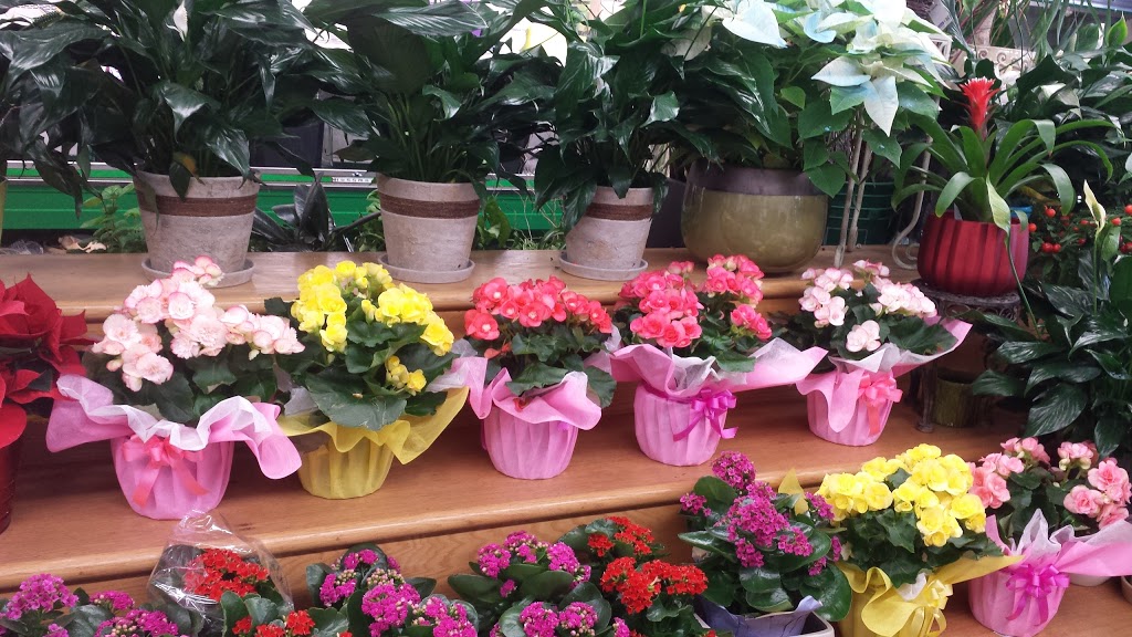 Atkinson Florist | 531 Atkinson Ave, Thornhill, ON L4J 8L7, Canada | Phone: (905) 707-6789