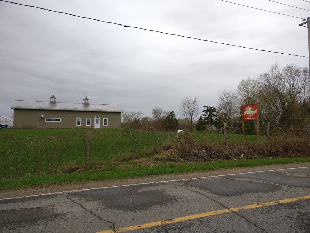 Ferme les Petites Écores | 547 Chemin des Outaouais, Pointe-Fortune, QC J0P 1N0, Canada | Phone: (438) 274-0183