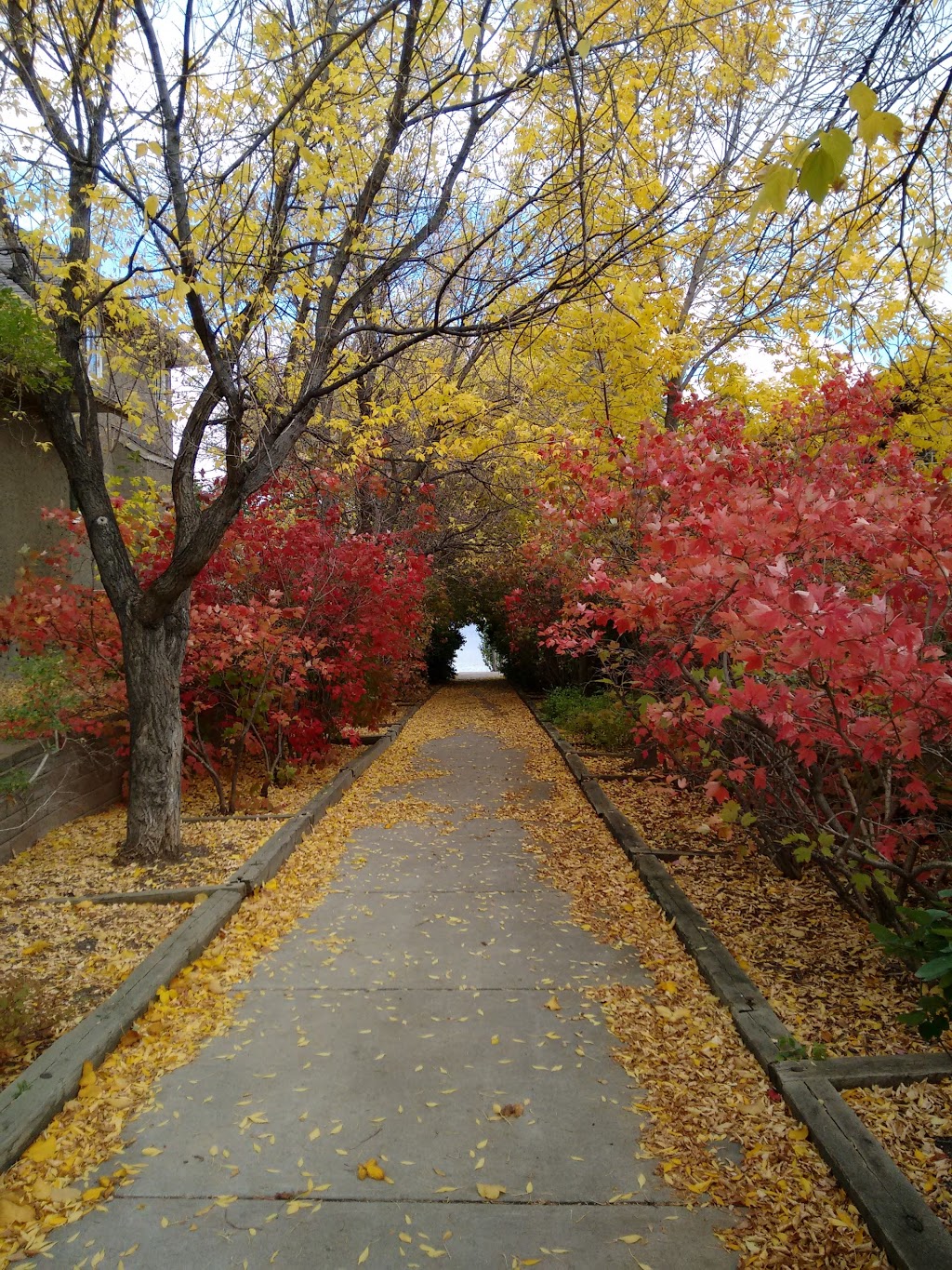 John Avant Park | Kerr Rd, Saskatoon, SK S7N 4H2, Canada
