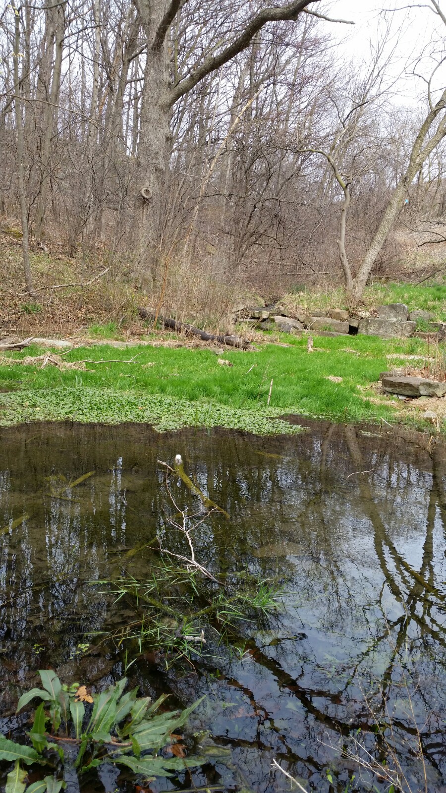 Earl W. Brydges Artpark State Park | 450 S 4th St, Lewiston, NY 14092, USA | Phone: (716) 754-7766