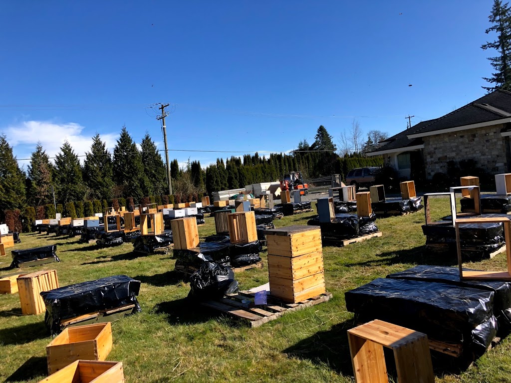 MMY Honeybee Inc | 5553 256 St, Aldergrove, BC V4W 1E7, Canada | Phone: (778) 829-9349