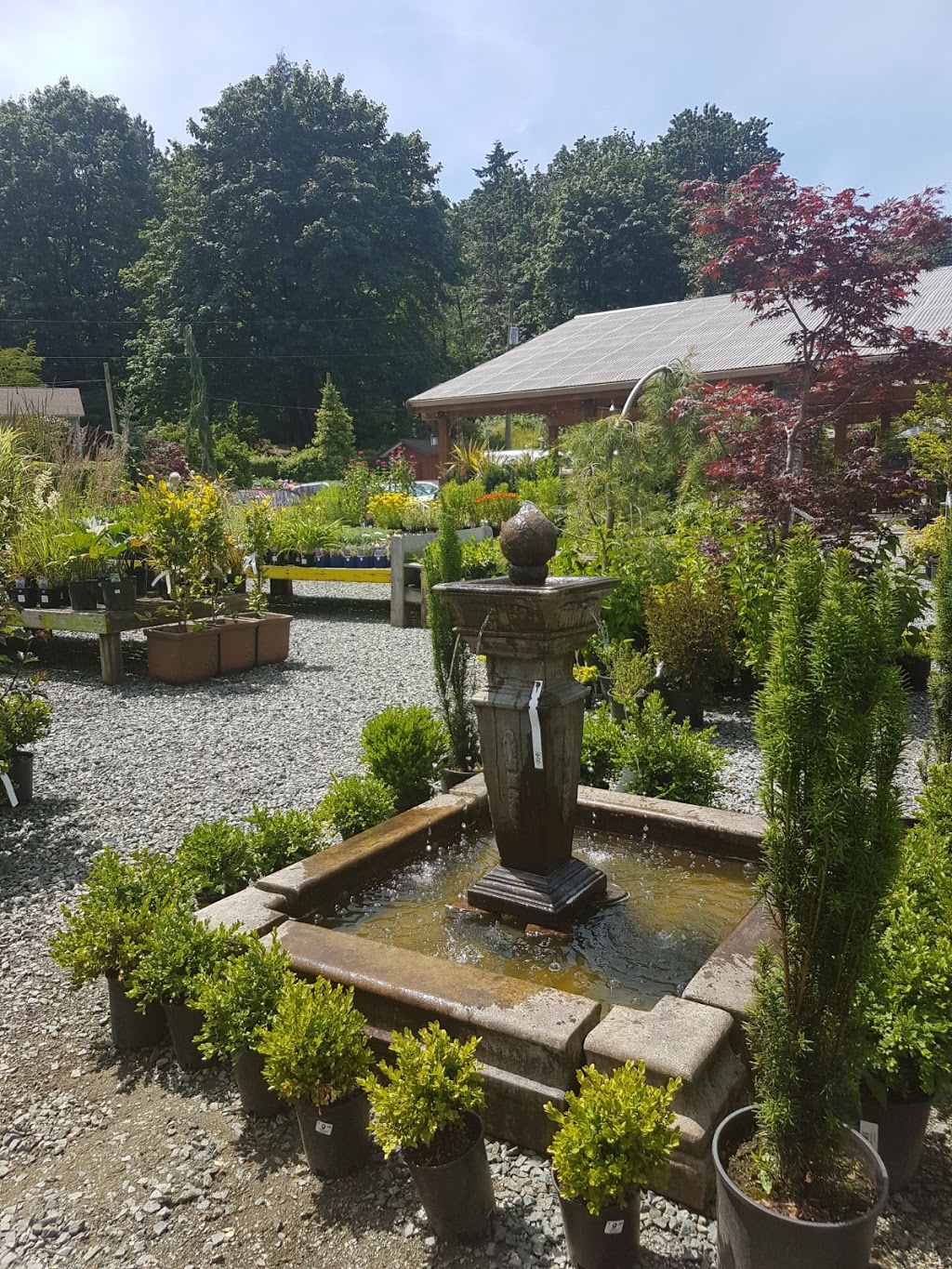 Tanglebank Gardens Brambles Bistro | 29985 Downes Rd, Abbotsford, BC V4X 1Z8, Canada | Phone: (604) 856-9339
