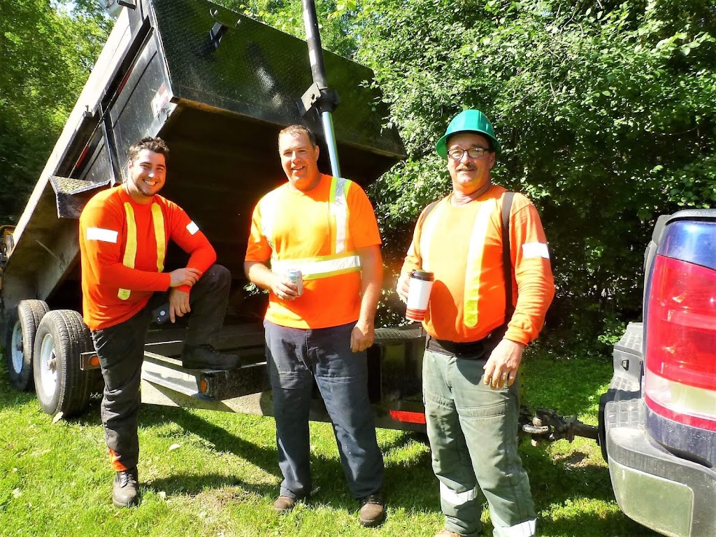 Hanet Tree Service | Frizell Rd, Perth, ON K7H 3C7, Canada | Phone: (613) 812-1736