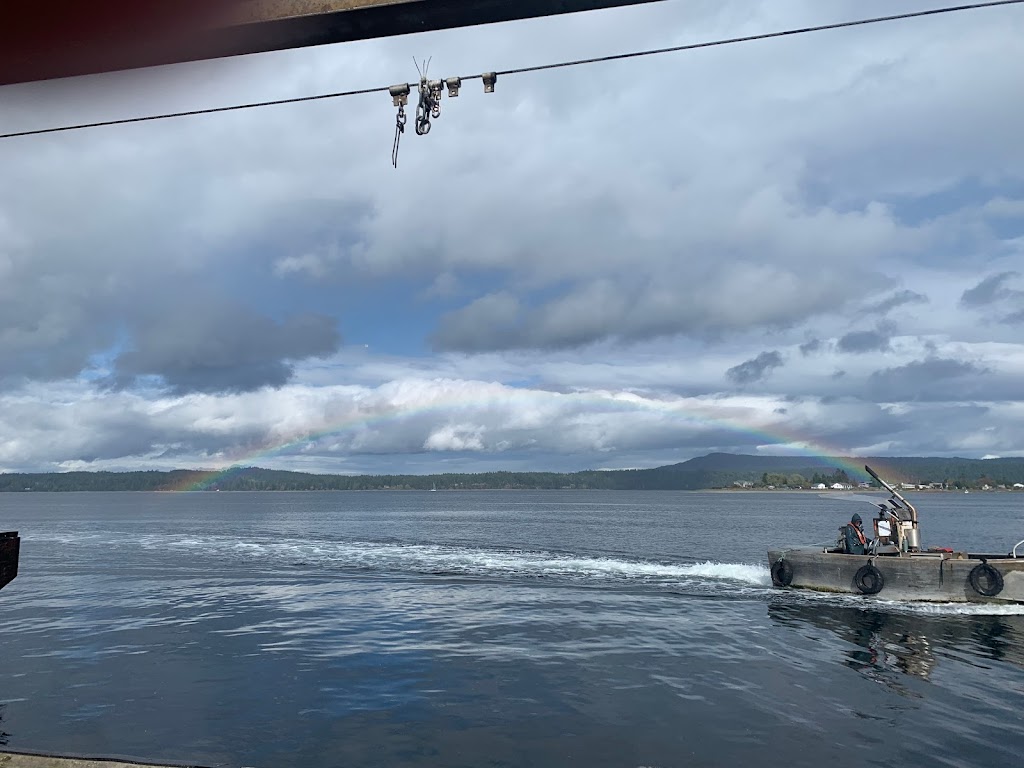 Odyssey Shellfish | 7400 Island Hwy W, Bowser, BC V0R 1G0, Canada | Phone: (250) 757-9304