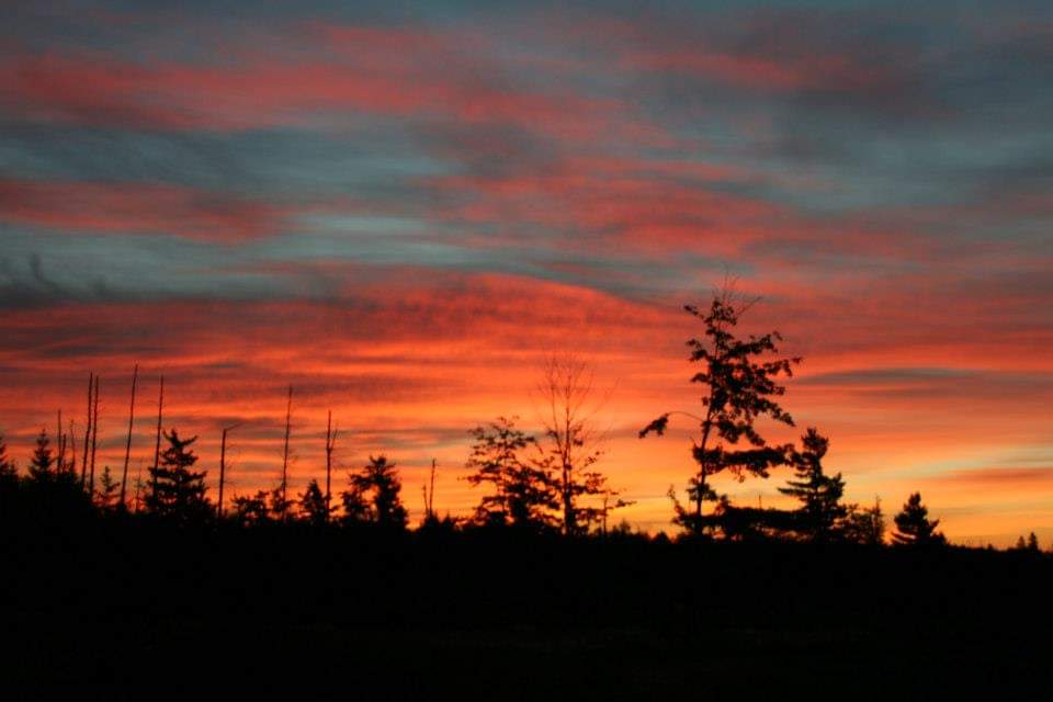 Au Fond des Bois | 1967 route 495, East Branch, NB E4W 5R9, Canada | Phone: (506) 523-9589