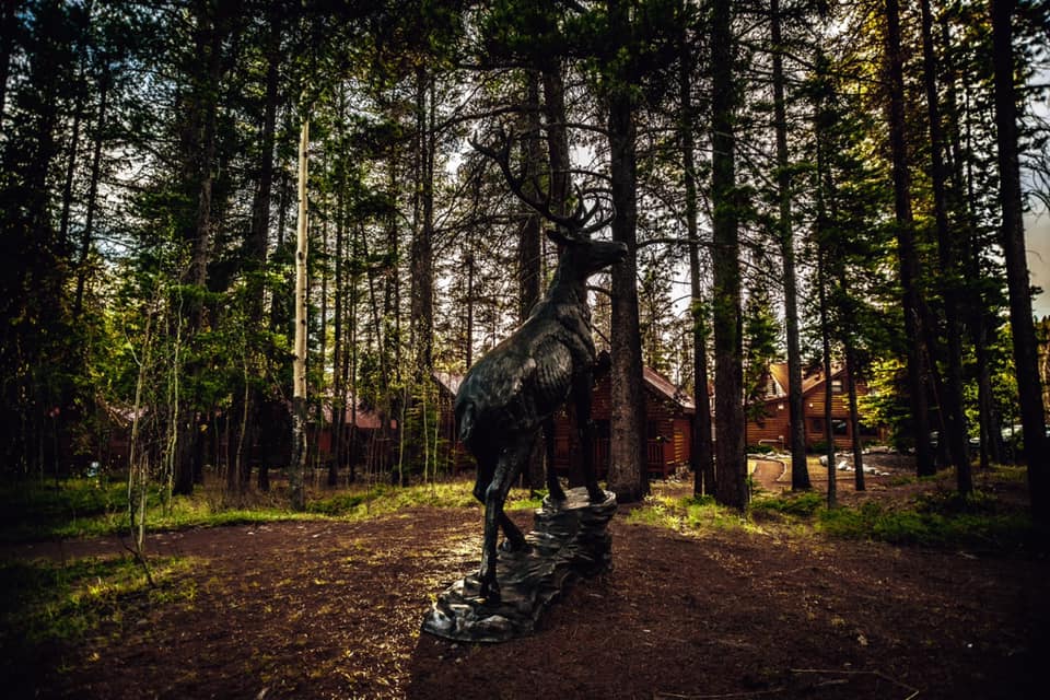 Baker Creek By Basecamp | Bow Valley Pkwy, Lake Louise, AB T0L 1E0, Canada | Phone: (403) 522-3761