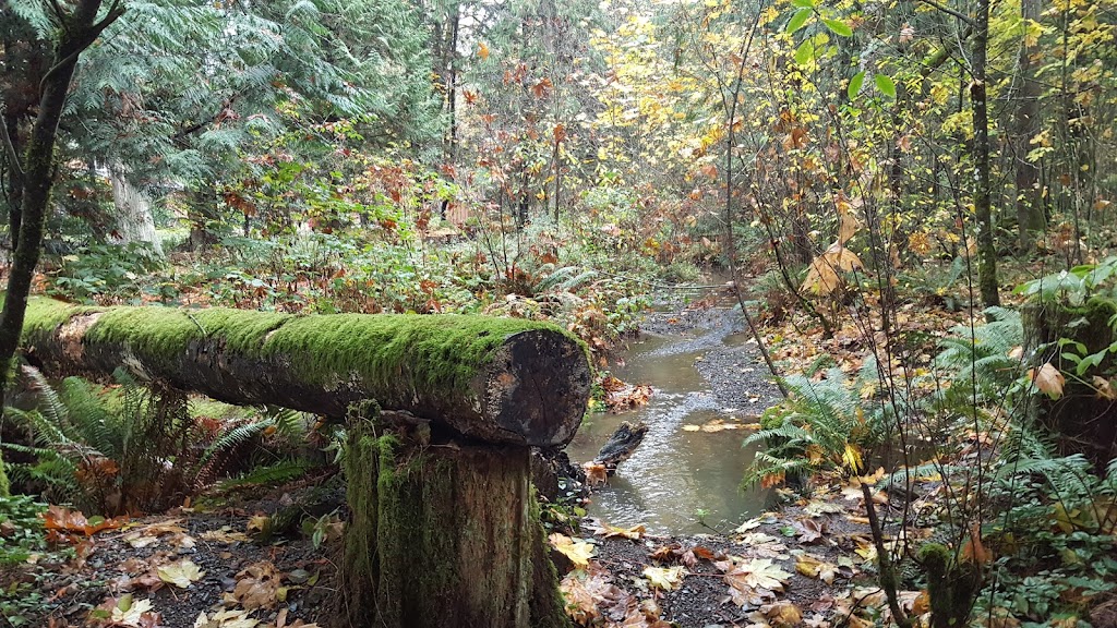 Sea Dog Farm | 1742 Hovey Rd, Saanichton, BC V8M 1S7, Canada | Phone: (250) 380-2899