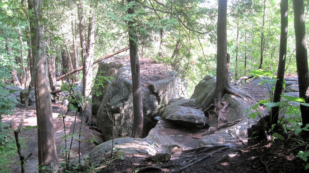 Grey Sauble Conservation Authority | 237897 Inglis Falls Rd, Owen Sound, ON N4K 5N6, Canada | Phone: (519) 376-3076